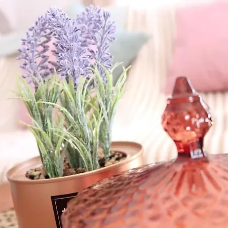 Carpe Diem Carvoeiro (Lagoa)