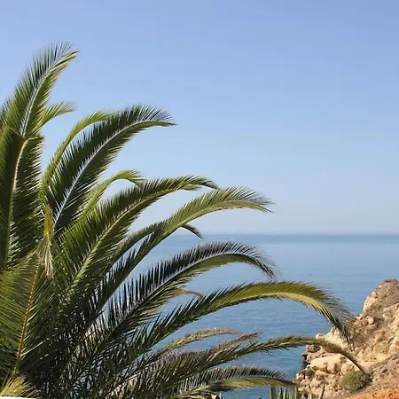Carpe Diem Villa